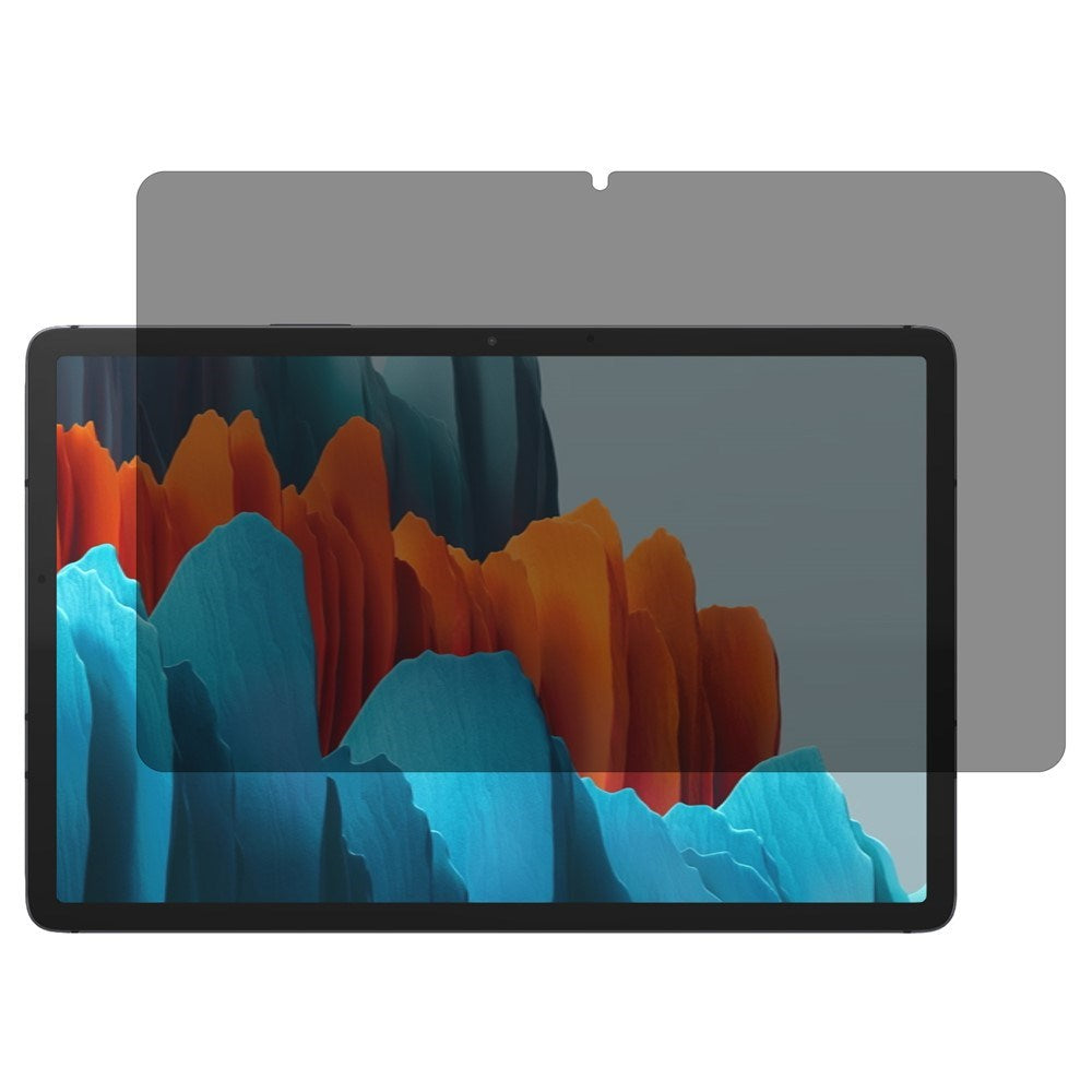 Samsung Galaxy Tab S11 / S10 Lite / S10 FE / S9 FE / S9 / S8 / S7 Skärmskydd i Härdat Glas - Privacy Funktion - Genomskinlig