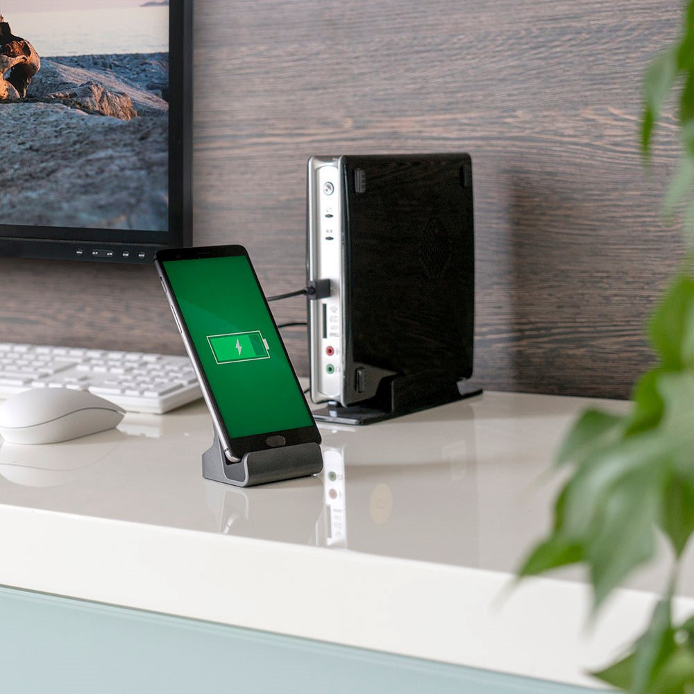 4Smarts VoltDock USB-C Laddstation 10W - Grå