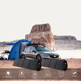 Lippa Solpanel 100W - Svart