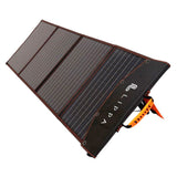 Lippa Solpanel 220W - Svart