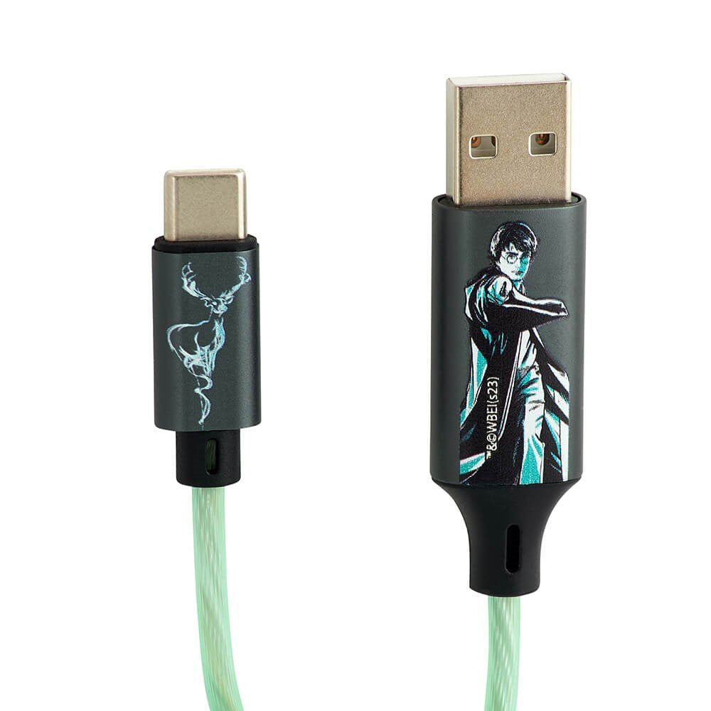 Harry Potter Light Up USB-A till USB-C Kabel 1,2 Meter - Svart / Grön