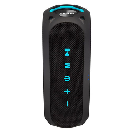 Niceboy RAZE 4 Radion 30W Bluetooth Högtalare med FM-Radio - Svart