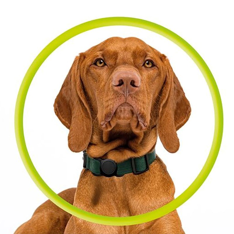 Mobile Origin AirTag 1. & 2. Gen. Hållare för Halsband - Svart