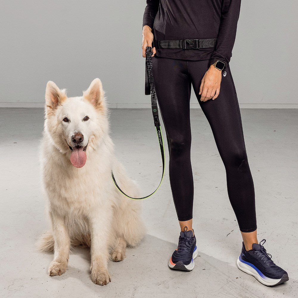 Bee-Safe LED Hundkoppel för Löpning - Svart