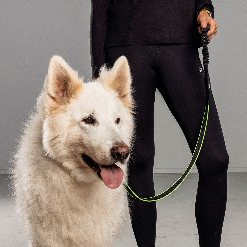 Bee-Safe LED Hundkoppel för Löpning - Svart