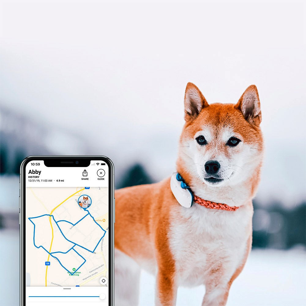 Tractive GPS Dog LTE - GPS & Bluetooth Tracker för Hundar - Vit