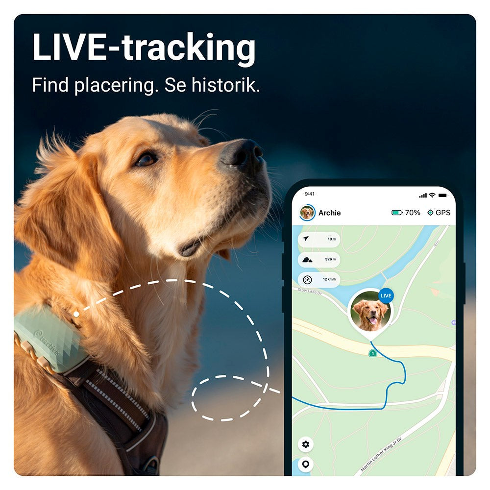 Tractive GPS Dog XL - GPS & Bluetooth Tracker för Hundar - Grön