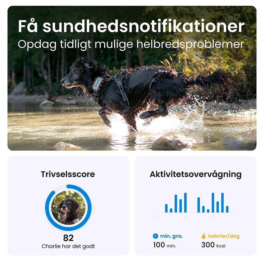 Tractive GPS Dog XL - GPS & Bluetooth Tracker för Hundar - Adventure Edition - Grå