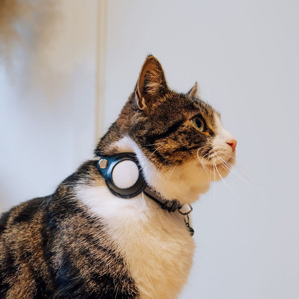 Lippa Halsband med AirTag Konstläderfodral - 22-32 cm - Röd