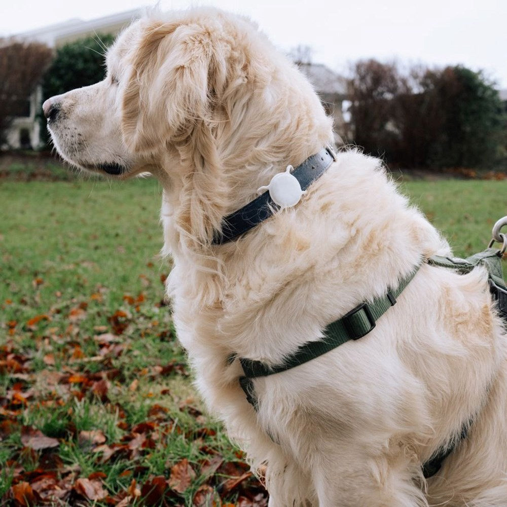 Lippa Silikon AirTag Hållare för Krage - Vit
